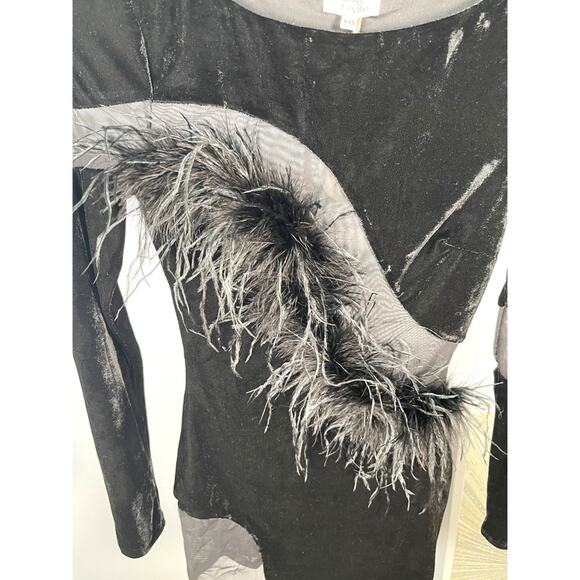 Camila Coelho Florence Long Sleeve Feather Mesh Bodycon Mini Dress Size XXS - Picture 4 of 7